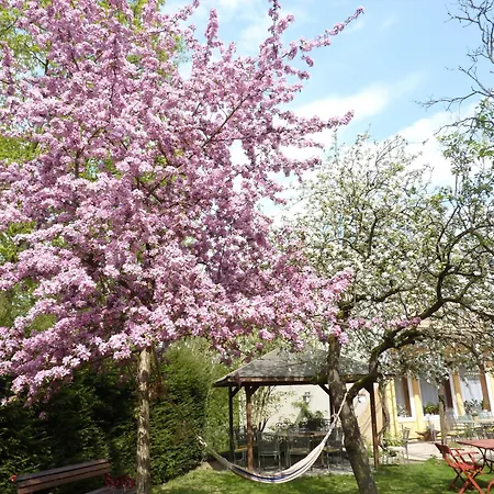 Oranien Hotel 2*