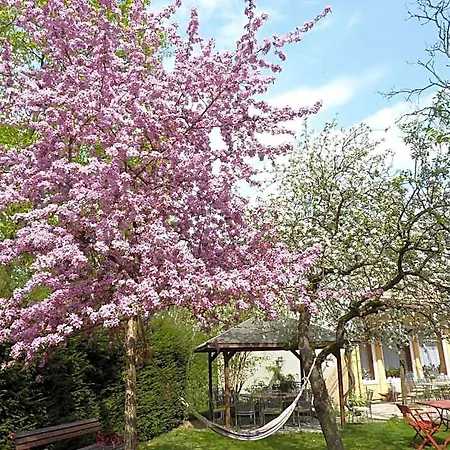 Oranien Hotel Nastatten